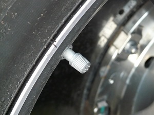 Image of a Tire Valve Stem